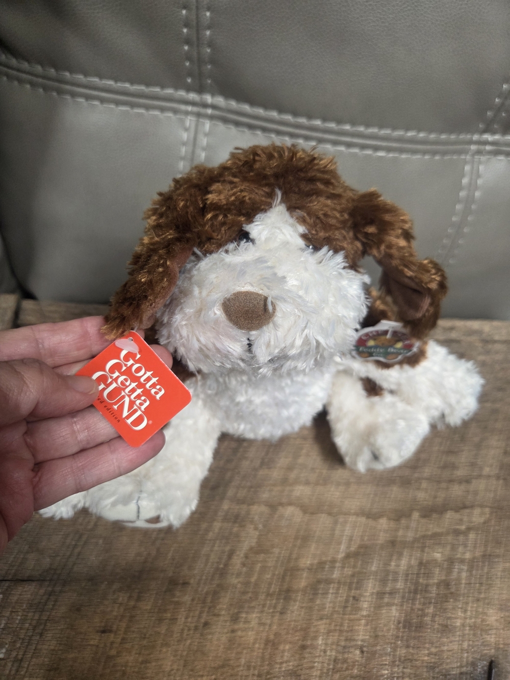 NWT Gund Benjamin Shaggy Spaniel Puppy Plush #976 #44756 10” Bin 1K